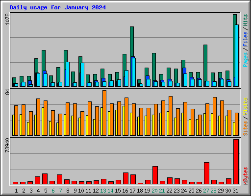 Daily usage for January 2024