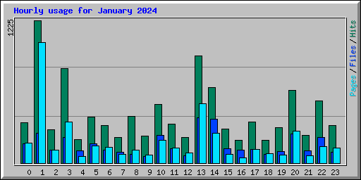 Hourly usage for January 2024