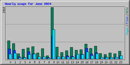 Hourly usage for June 2024