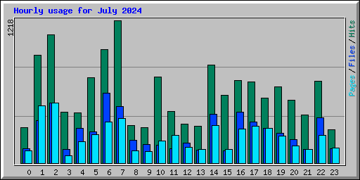 Hourly usage for July 2024